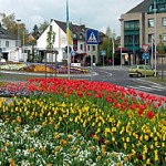 MALTaflor ist ein auf pflanzlicher Basis auf- gebauter Dünger für alle Pflanzen im Hobby- und Profibereich. stadt_andernach MALTaflor ist ein auf pflanzlicher Basis auf- gebauter Dünger für alle Pflanzen im Hobby- und Profibereich.
